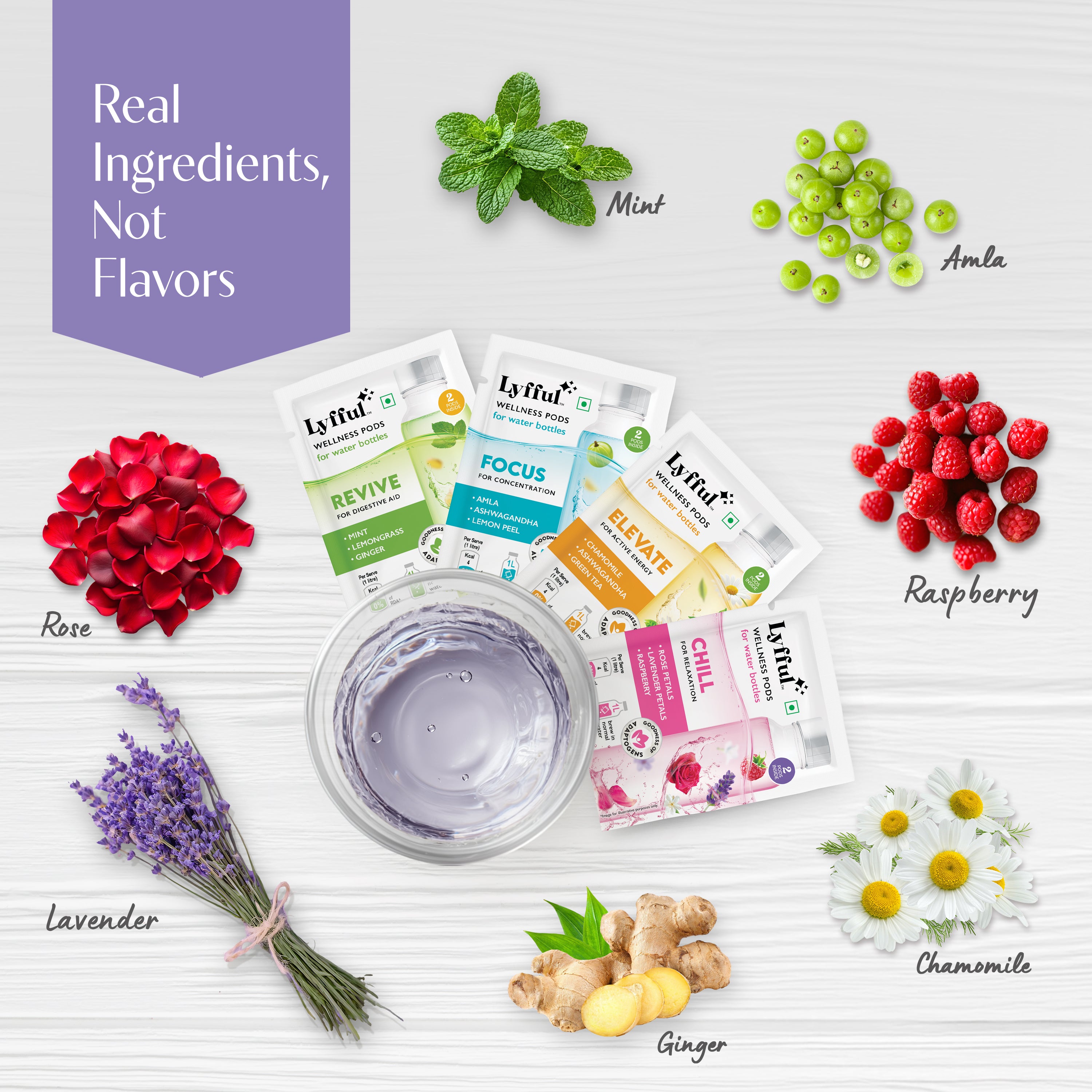 Wellness Pods Discovery Pack